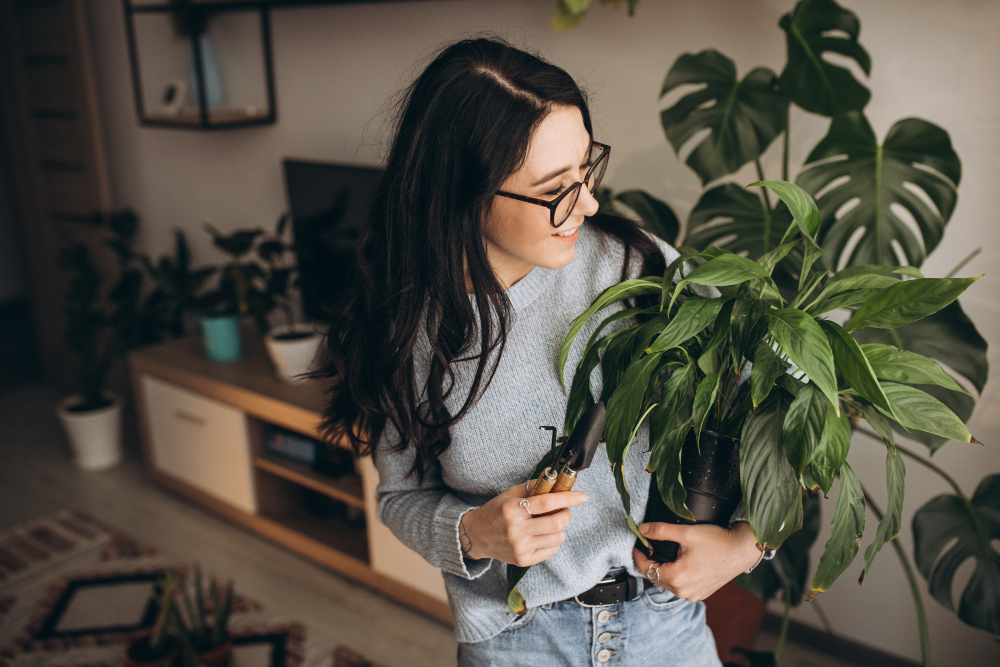 benefits of plants for mental health scribblegeek